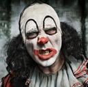 Mr Jelly Mr Jelly